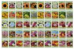 50 Slightly Assorted Flower Seeds! – Great for Bees, Birds, and Butterflies! – Includes 10+ Varieties of USA Grown & Non-GMO Seeds! – May Include Forget-Me-Nots, Marigolds, Wildflowers, and More