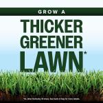 Scotts Kentucky 31 Grass Seed Mix - Premium Lawn Grass Seed, Covers Up to 5,000 sq. ft., 20 lb