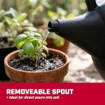 Chapin 47998 Watering Can, 2 Gallon, Indoor and Outdoor Plants, Lawn, Garden, Removable Nozzle, Drip-Free Sprinkler Head, Recycled Plastic, Black