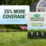 Scotts Kentucky 31 Grass Seed Mix - Premium Lawn Grass Seed, Covers Up to 5,000 sq. ft., 20 lb