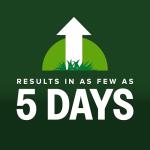 Scotts Kentucky 31 Grass Seed Mix - Premium Lawn Grass Seed, Covers Up to 5,000 sq. ft., 20 lb