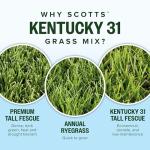 Scotts Kentucky 31 Grass Seed Mix - Premium Lawn Grass Seed, Covers Up to 5,000 sq. ft., 20 lb