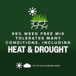 Scotts Kentucky 31 Grass Seed Mix - Premium Lawn Grass Seed, Covers Up to 5,000 sq. ft., 20 lb