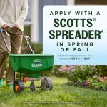 Scotts Kentucky 31 Grass Seed Mix - Premium Lawn Grass Seed, Covers Up to 5,000 sq. ft., 20 lb