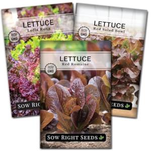 Sow Right Seeds - Red Lettuce Seed Collection for Planting - Romaine, Salad Bowl, Lolla Rosa - Non-GMO Heirloom Vegetable Varieties - Ideal for Spring or Fall Planting & Hydroponics - Tasty Greens