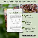 Sow Right Seeds - Red Lettuce Seed Collection for Planting - Romaine, Salad Bowl, Lolla Rosa - Non-GMO Heirloom Vegetable Varieties - Ideal for Spring or Fall Planting & Hydroponics - Tasty Greens