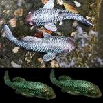 Tooyuart Garden Sculptures & Statues,Koi Fish Decor,Garden Fish Art,Set of 2 Antique Koi Fish Yard Art Decor for Outdoors,Patio,Yard,Lawn,Pond,Home Decoration (Bronz)