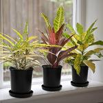 Fasmov 10PCS 1 Gallon Durable Nursery Pot Garden Flower Pots Nursery Plant Container Kit with 10 Pcs Matching Pallets, Black