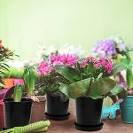 Fasmov 10PCS 1 Gallon Durable Nursery Pot Garden Flower Pots Nursery Plant Container Kit with 10 Pcs Matching Pallets, Black