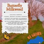 Pollinator Garden Live Plant Collection – 8 Perennial Live Plants | Butterfly Weed, Swamp Milkweed, Purple Coneflower & Black-Eyed Susan | Attract Monarchs, Bees & Hummingbirds | Native Perrenials