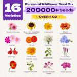 200,000+ Wildflower Seeds Bulk (4oz) – 16 Varieties Perennial & Annual Mix, Non-GMO Heirloom Seeds, Attract Bees, Butterflies & Hummingbirds, High Germination for Indoor/Outdoor Pollinator Garden