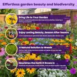 200,000+ Wildflower Seeds Bulk (4oz) – 16 Varieties Perennial & Annual Mix, Non-GMO Heirloom Seeds, Attract Bees, Butterflies & Hummingbirds, High Germination for Indoor/Outdoor Pollinator Garden