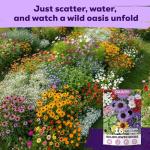 200,000+ Wildflower Seeds Bulk (4oz) – 16 Varieties Perennial & Annual Mix, Non-GMO Heirloom Seeds, Attract Bees, Butterflies & Hummingbirds, High Germination for Indoor/Outdoor Pollinator Garden