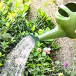 Green Garden Watering Can Sprinkler Head, Universal Rose Head Water Sprinkler Sprayer Fit All Can Rose Spout Cover Nozzle Replacement Garden Watering Tool, Equipment