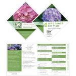 Proven Winners 2 Gal. Let's Dance Skyview Hydrangea Shrub