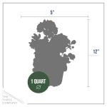 Live Flowering Zonal Geraniums - Red (2 Plants Per Pack) - Beautiful Spring Flowers - 12" Tall by 5" Wide in 1 Qt Pot