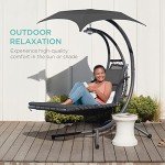 Curved Steel Outdoor Swing with Removable Canopy