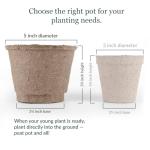 Jiffy Plant Pot - Organic Seed Starting, Biodegradable Pots for Seedlings - 5 in, 100 Pots - Peat