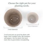 Jiffy Plant Pot - Organic Seed Starting, Biodegradable Pots for Seedlings - 5 in, 100 Pots - Peat