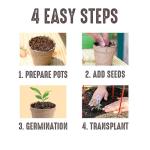 Jiffy Plant Pot - Organic Seed Starting, Biodegradable Pots for Seedlings - 5 in, 100 Pots - Peat