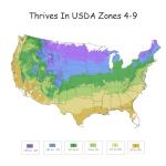 Bushel & Berry 2 Gal. Raspberry Shortcake Raspberry Shrub