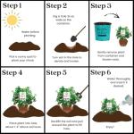 Bushel & Berry 2 Gal. Raspberry Shortcake Raspberry Shrub