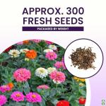 Mixed Zinnia Seeds for Planting Outdoors - 300 Fresh Seeds - Cut-and-Come-Again Zinnia Flowers - Grown in The USA