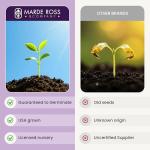 Mixed Zinnia Seeds for Planting Outdoors - 300 Fresh Seeds - Cut-and-Come-Again Zinnia Flowers - Grown in The USA