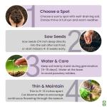 Mixed Zinnia Seeds for Planting Outdoors - 300 Fresh Seeds - Cut-and-Come-Again Zinnia Flowers - Grown in The USA