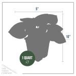 Live Brunnera 2-Pack – Sea Heart – Shade Perennial with Silver Foliage, Blue Spring Flowers, 10” Tall, 1 Qt Pot