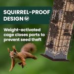 Perky-Pet 336-1SR Squirrel-Be-Gone Squirrel Proof Bird Feeder, 2LB, Outdoor Wild Bird Feeder with Weight-Activated Perches
