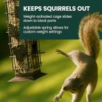 Perky-Pet 336-1SR Squirrel-Be-Gone Squirrel Proof Bird Feeder, 2LB, Outdoor Wild Bird Feeder with Weight-Activated Perches
