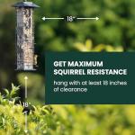 Perky-Pet 336-1SR Squirrel-Be-Gone Squirrel Proof Bird Feeder, 2LB, Outdoor Wild Bird Feeder with Weight-Activated Perches