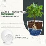 Utopia Home - Plant Pots Indoor with Drainage - 7/6.6/6/5.3/4.8 Inches Flower Pots for Indoor Planter - 10 Pack Plastic Planters - Ideal for Stocking Stuffers or Home Christmas Decorations - White