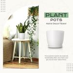 Utopia Home - Plant Pots Indoor with Drainage - 7/6.6/6/5.3/4.8 Inches Flower Pots for Indoor Planter - 10 Pack Plastic Planters - Ideal for Stocking Stuffers or Home Christmas Decorations - White