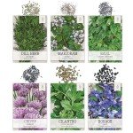 Culinary Herb Seeds Variety Pack – 12 Types