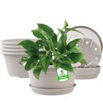 NNARRE 6 Pack 10 inch Plant Pot, Outdoor Pots for Plants with Drainage Hole & Tray Saucer, Round Plastic Plant Pot, Decoration Flower Pots for Indoor Plants Home Garden Outdoor Planters (Gray White)