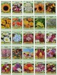 25 Assorted Flower Seed Packets - 10+ Varieties