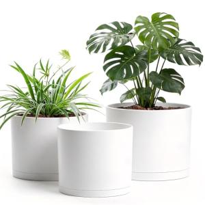 Areutxbis 10/9/8 Inch Large Plant Pots with Drainage Holes and Trays, 3 Pack Modern Minimalist Cylinder Planters for Monstera, Snake Plant, Indoor Outdoor (Matte White)