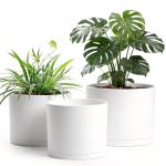 Areutxbis 10/9/8 Inch Large Plant Pots with Drainage Holes and Trays, 3 Pack Modern Minimalist Cylinder Planters for Monstera, Snake Plant, Indoor Outdoor (Matte White)