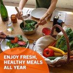 32 Vegetable and Fruit Seed Survival Kit