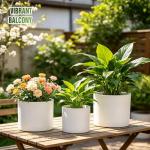 Areutxbis 10/9/8 Inch Large Plant Pots with Drainage Holes and Trays, 3 Pack Modern Minimalist Cylinder Planters for Monstera, Snake Plant, Indoor Outdoor (Matte White)