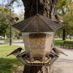 FUNPENY Bird Feeders for Outdoors Hanging, Gazebo Wild Bird Seed Feeder for Outside Roof Yard Garden Decorations, Brown