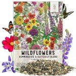 Hummingbird & Butterfly Wildflower Seed Mixture - 15,000+