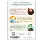 Hummingbird & Butterfly Wildflower Seed Mixture - 15,000+