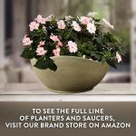 Classic Home and Garden Arc Unique Planter Bowl w/Drain Plug - UV Resistant Shallow Planter - Modern Plant Pot for Herbs (12” Concrete)