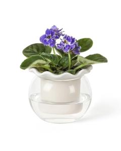Fayoula 6 Inch African Violet Pots Maintenance, Glass Self-Watering Planter for Indoor Plants - Ideal Flower Pot for Thriving Indoor Gardens, Pots Only (Version 2)