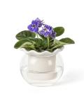 Fayoula 6 Inch African Violet Pots Maintenance, Glass Self-Watering Planter for Indoor Plants - Ideal Flower Pot for Thriving Indoor Gardens, Pots Only (Version 2)