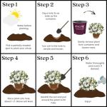 Encore Azalea 1 Gal. Autumn Ivory Azalea Shrub