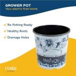 Costa Farms Live Tropical Hibiscus Plant with Yellow Flowers, 1-Gallon Grower Pot, 16-Inches Tall, Real Flowering Outdoor Plant for Patio, Deck, or Garden Decor, Natural Air Purifier